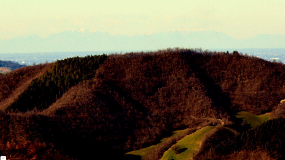 Forli e Alpi Forli e Alpi