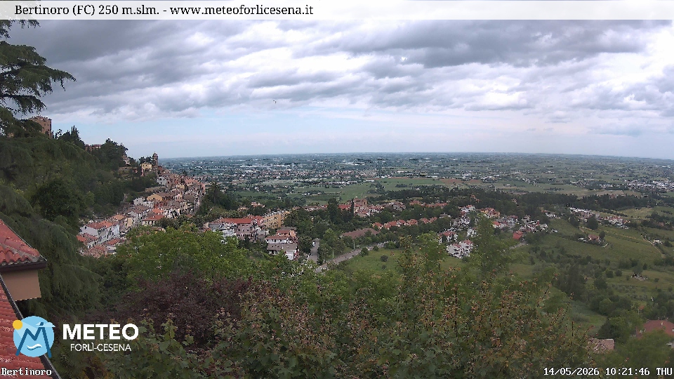 Cesena