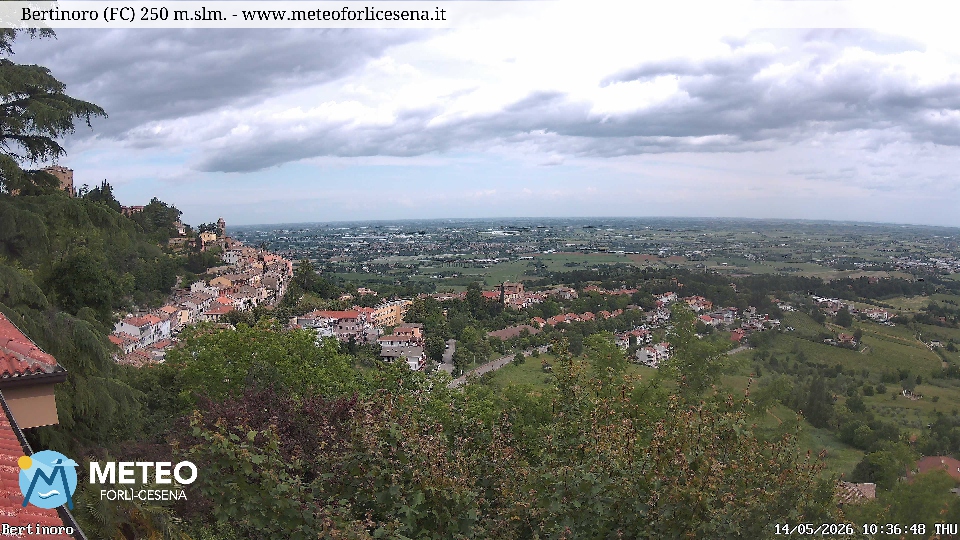 Cesena