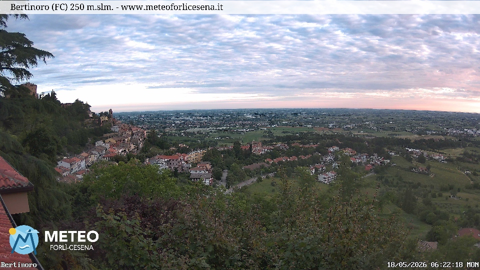 Cesena