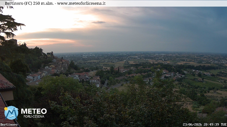 Cesena
