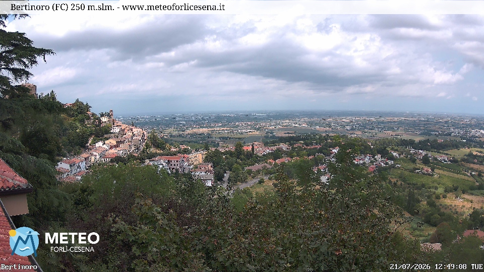 Cesena