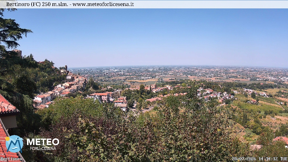 Cesena