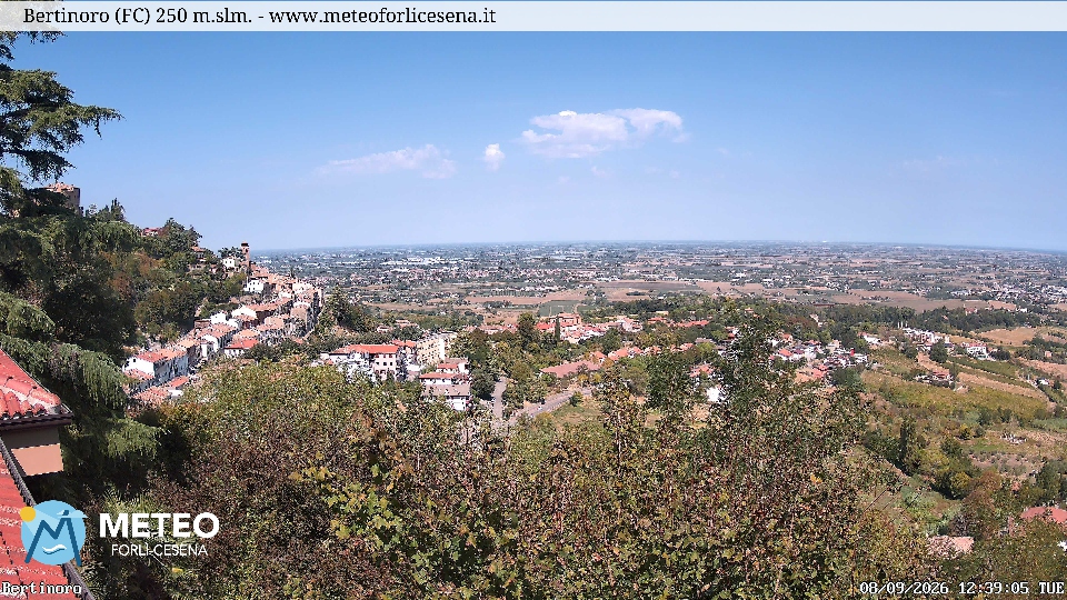 Cesena