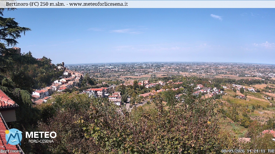 Cesena