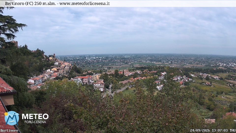 Cesena