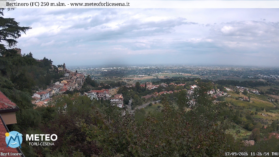 Cesena