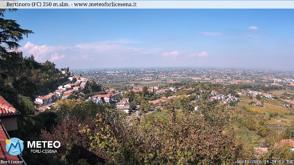 Cesena