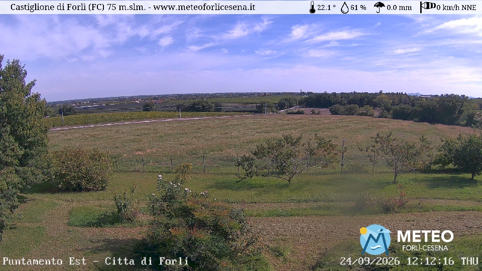 Cesena