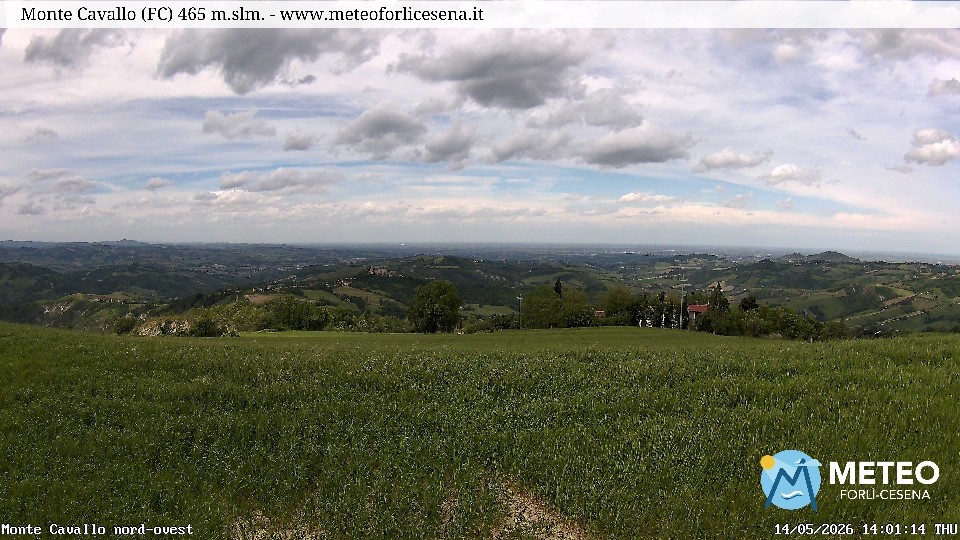 Cesena