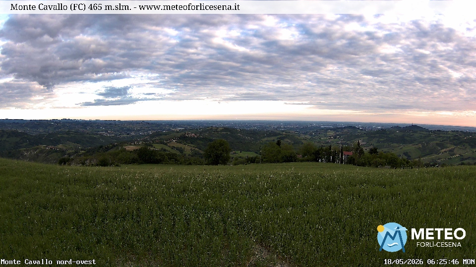 Cesena