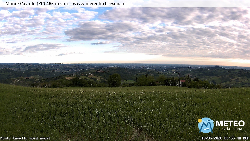 Cesena