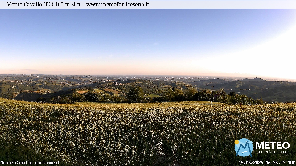 Cesena