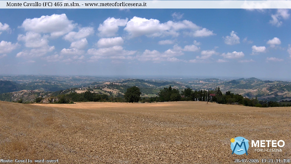 Cesena