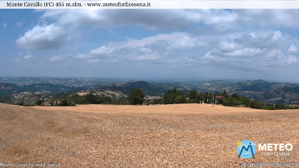 Cesena