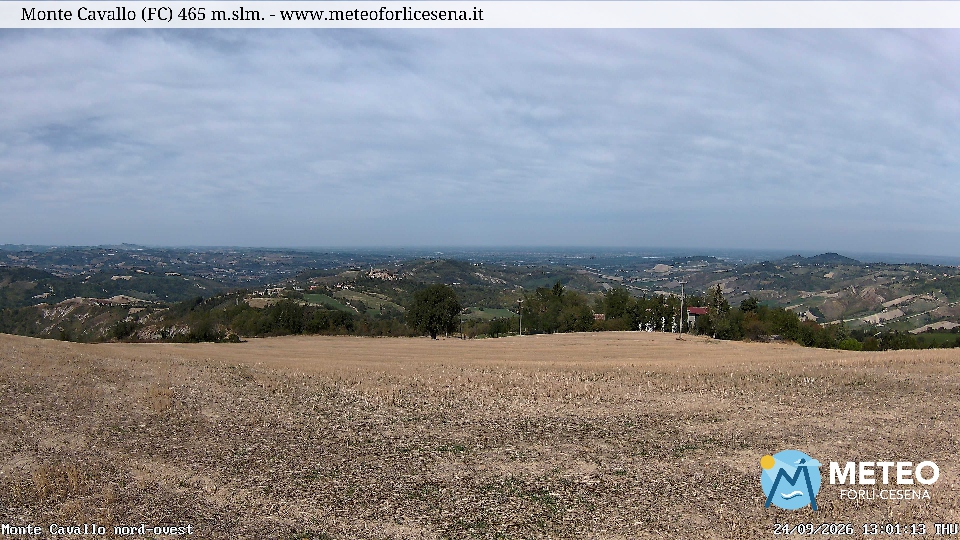 Cesena