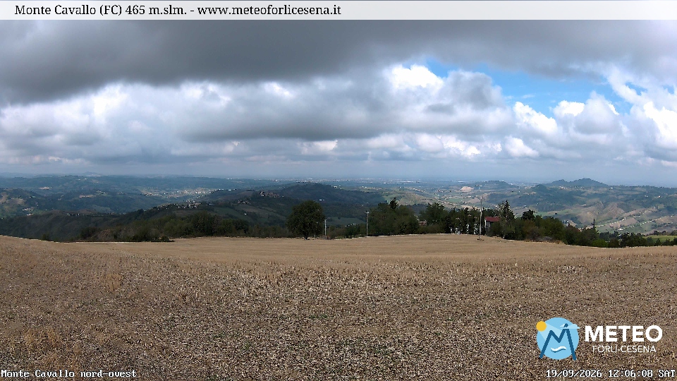 Cesena