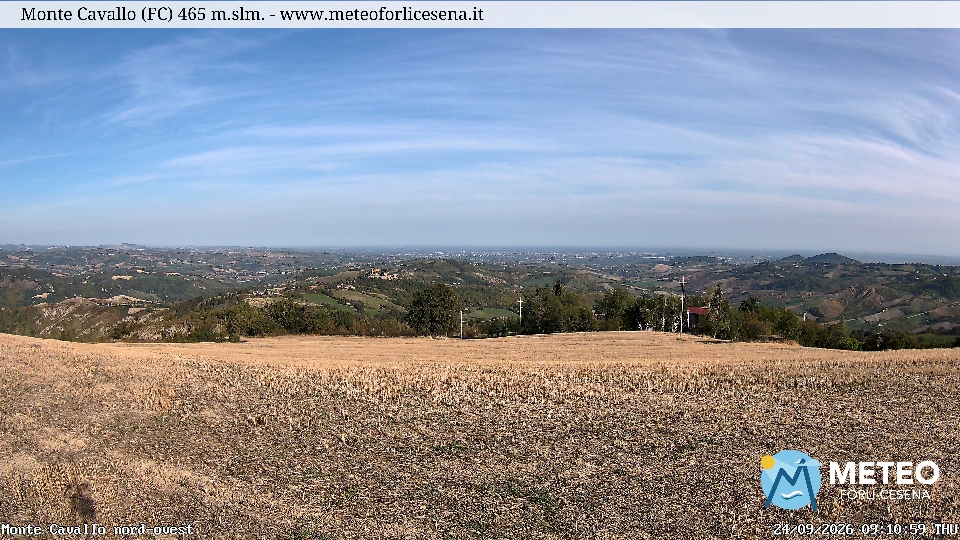 Cesena
