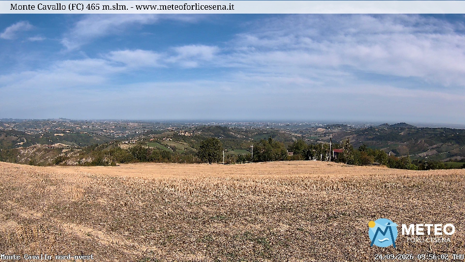 Cesena