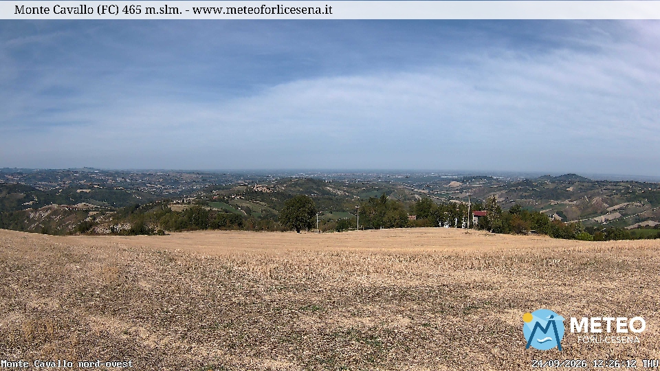 Cesena