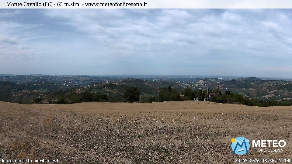 Cesena
