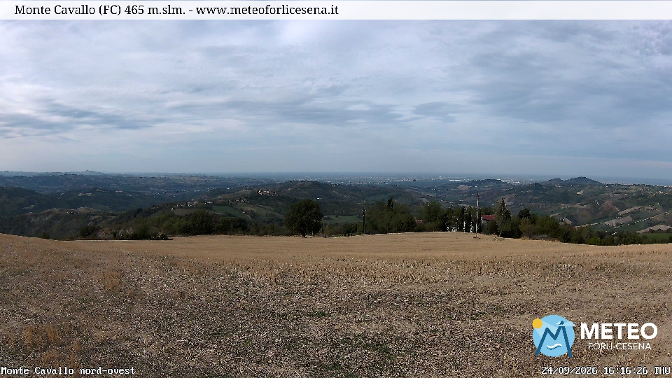 Cesena