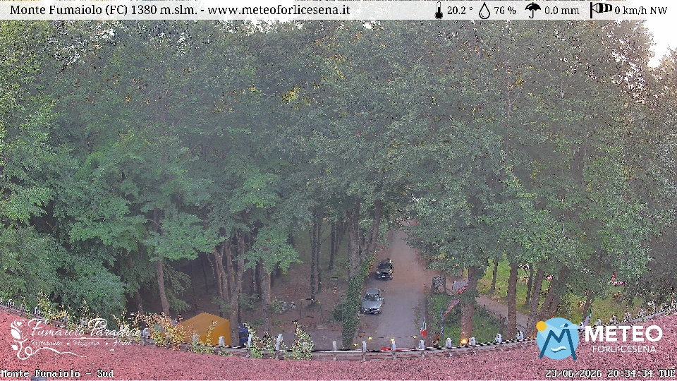 Cesena