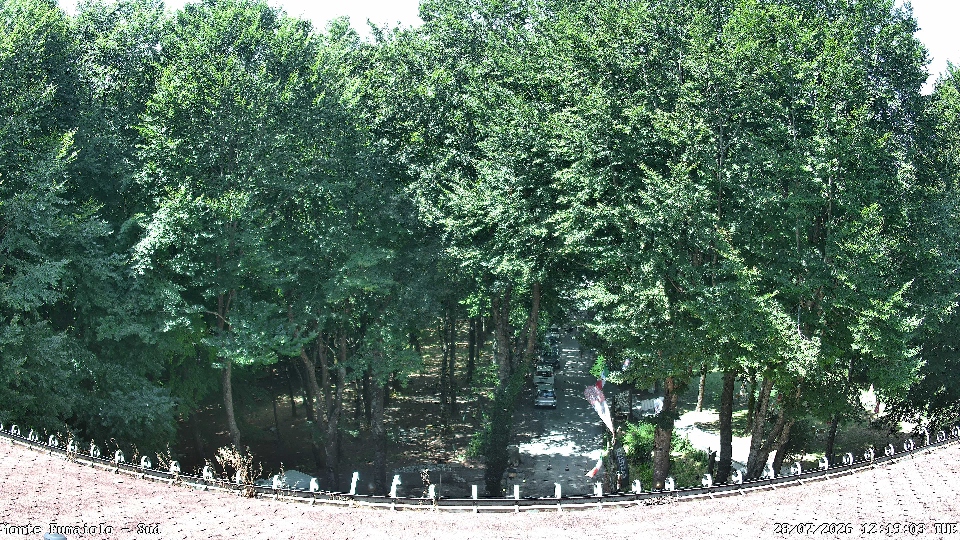Cesena