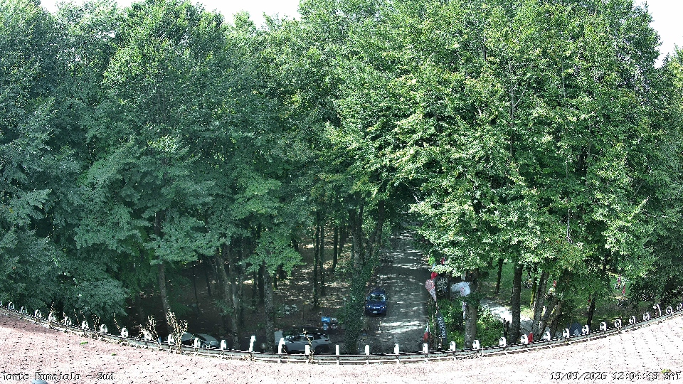 Cesena