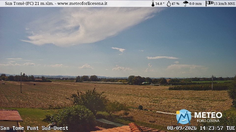Cesena