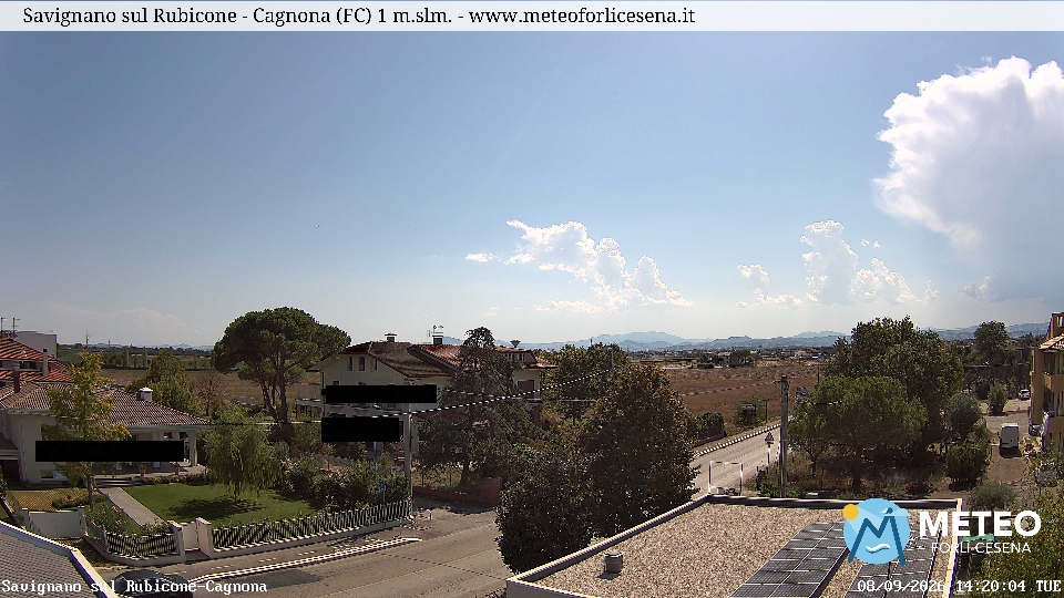 Cesena